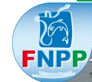 Fnppsf 